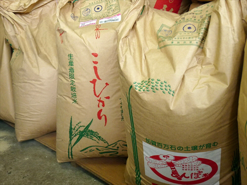 味のガンコ米本舗山崎商店6玄米